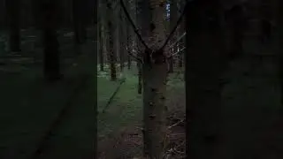 #популярное