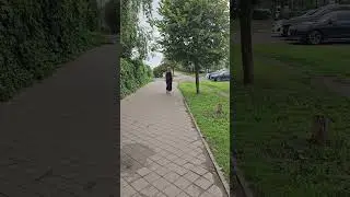 Отличного всем дня 🫶