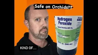 How to use hydrogen peroxide on orchids