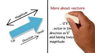 4.1 Class 11 Motion in a plane- Scalars and Vectors.wmv