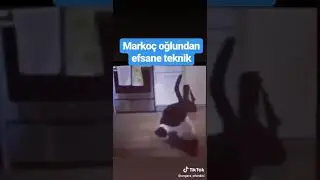 Çılgın kediler 2