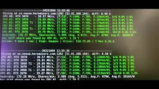 Mining rigs were hacked! They all hijacked over to Raven coin from Neoxa and Kaspa