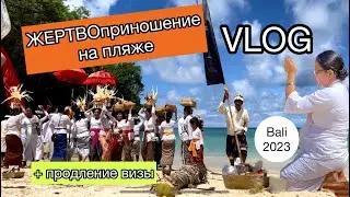 #VLOG Праздник #Галунган | Продление #визы