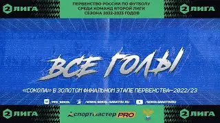 Все голы "Сокола" "золотой" весны 2023г.