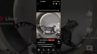 пов я и мои нервы я рыжий 😂