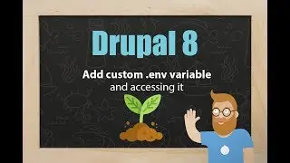 Implementing a custom environment variable and accessing it