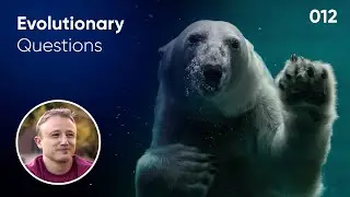 Will animals adapt to climate change? Evolution Question #12