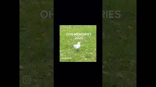 OHS MEMORIES 2023