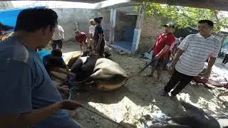 GOPR4168