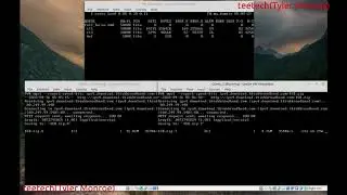 OpenBSD Network Router Using QoS To Limit Bandwidth Per Host