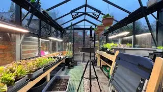 Sowing seeds ~ stage 1 of my plant growing pipeline