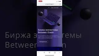 Как зарегистрироваться на бирже Stability