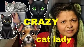 How I ended up with four pets // storytime