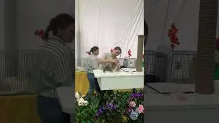 11 марта 2024 г.