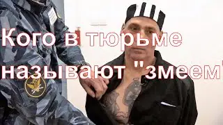 Кого в тюрьме называют змеем
