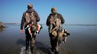 Caccia agli acquatici in laguna Veneta | Duck hunting