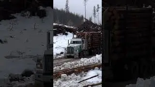#truck