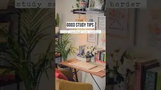 study smarter not harder ✏️✨