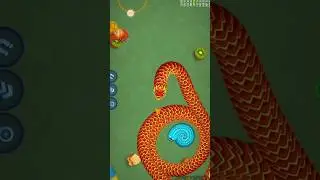 wormzone 