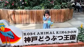 【兵庫県おでかけスポット1位】神戸どうぶつ王国におでかけ