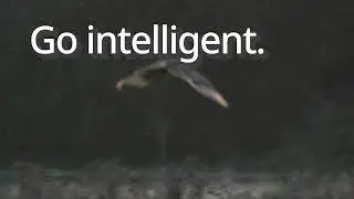 Go intelligent, Go Boldy | Emerson's Fisherᵀᴹ FIELDVUEᵀᴹ Technology