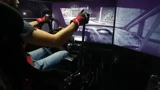 RACE ARENA - SYMULATOR PRO