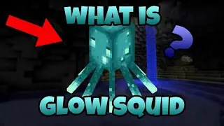 What is the Glow squid? (Minecraft 1.17 update)