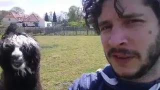 Peter en zijn Alpaca Zorro!