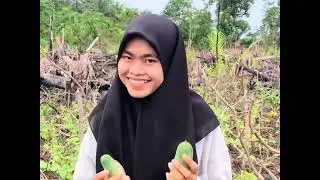 Menyelam cari kerang remis/pensi di air terjun || kompilasi video petualangan iyanxyz
