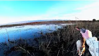 Утиная охота в новых охот угодиях.Трофей на утренний зорьки.Шквалистый ветер//Шатёр чуть не унесло