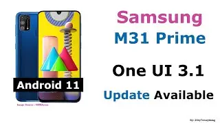 Samsung M31 | Samsung M31 Prime Edition | Android 11 | One UI 3.1 Update Available