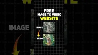 Best Free Website to Convert Images into Video (No Watermark!)
