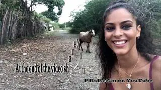 Outrageous Videos