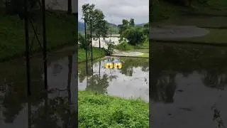 The river bank is breaking😱😳💥#shorts#river#viral
