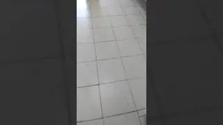 Столовая воинской части 21250-в городе чита, посёлок  Песчанка