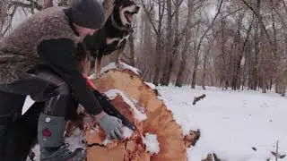Kyrgyzstan / Issykkul /  Tamga winter in the wood