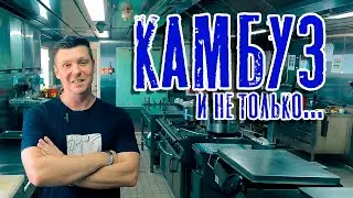 The Galley and Beyond... Everything You Need to Know About a Ship's Kitchen! (Sea Life, Not in Se...