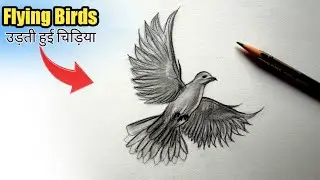 Flying bird drawing | udti hui chidiya banane ka tarika | Easy bird drawing | how to draw a bird
