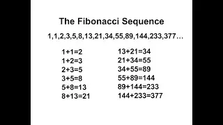 How To Write Fibonacci Series In Java || Programming In Java