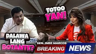 PINAKA MALIIT NA BARANGAY! DALAWA LANG ANG TAO?! SENATE PLENARY