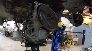 In the Shop on Saturday 🤔