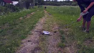 чёрная гадюка