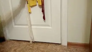 Чья это лапа под дверью?