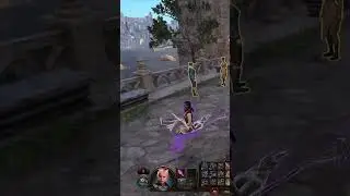 👹Странный баг с компаньоном в Baldur's Gate 3 (Врата Балдура 3) #shorts