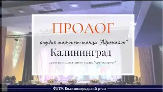 Судия мажорет-танца 