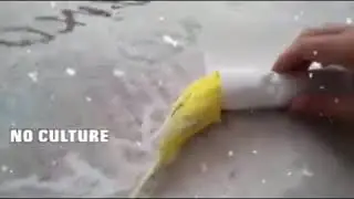 Очень трогательное видео