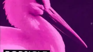 Popsicle - Irreplaceable
