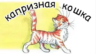 сказка про кошку / капризная кошка Сутеев В.Г / сказка на ночь/ развивающая сказка