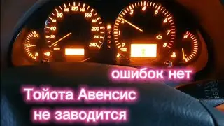 Тойота Авенсис не заводится, ошибок нет