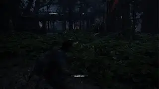 Shot by Legolas!?!? : The Last of Us Part II
